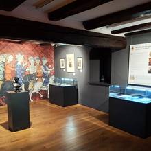 Ein Ausstellungsraum, wenig beleuchtet mit Vitrinen ©Landkreis Saalekreis