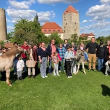 Tierpatentreffen Bauernmuseum ©Landkreis Saalekreis