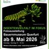Fotoausstellung „Insektenvielfalt im Fokus“ im Bauernmuseum Querfurt