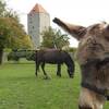 Bauernmuseum [(c) FilmBurg Querfurt]
