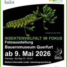 Fotoausstellung &copy;INSEKTA